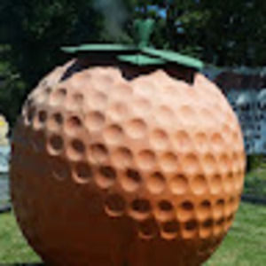 Meet your Posher, Norberta